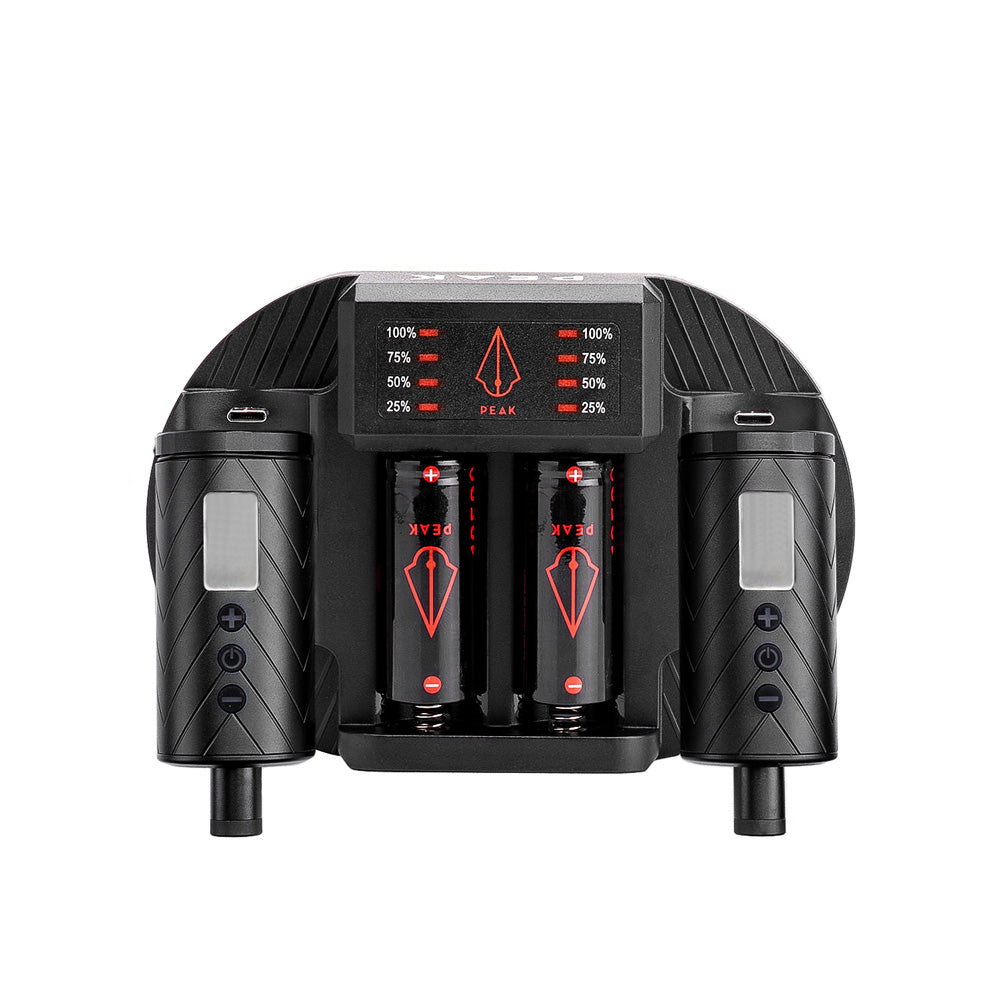 Charging Dock + Forge Reloadable Battery Packs Bundle