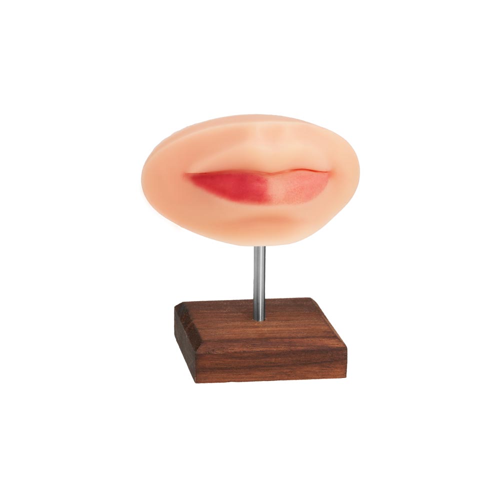 PMU Practice Lips + Piercing Body Bit — Pick Skin Tone