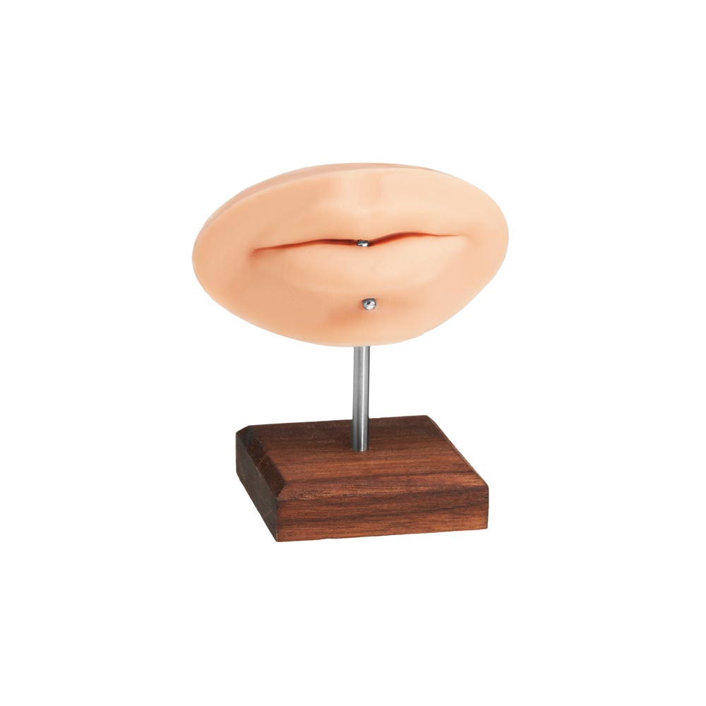 PMU Practice Lips + Piercing Body Bit — Pick Skin Tone