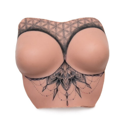 Torso with Nippleless Breasts