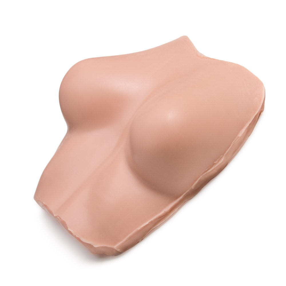 Torso with Nippleless Breasts