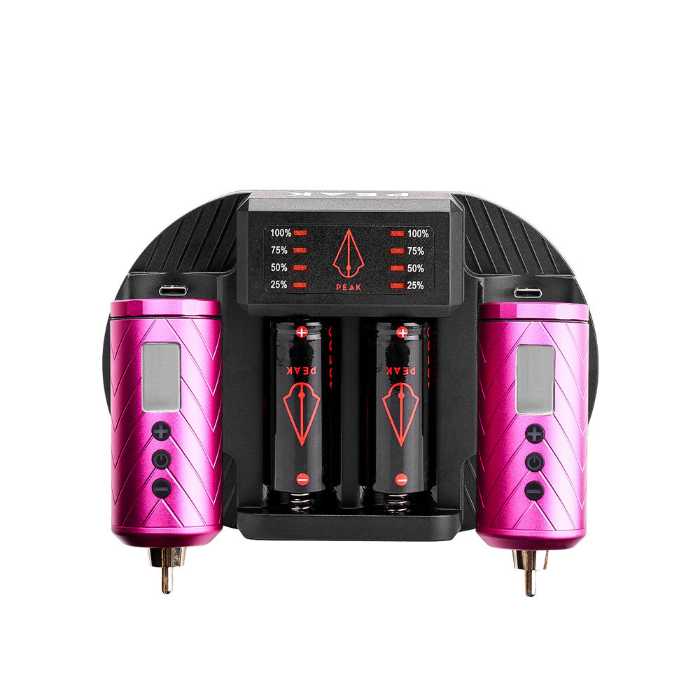 Charging Dock + Forge Reloadable Battery Packs Bundle