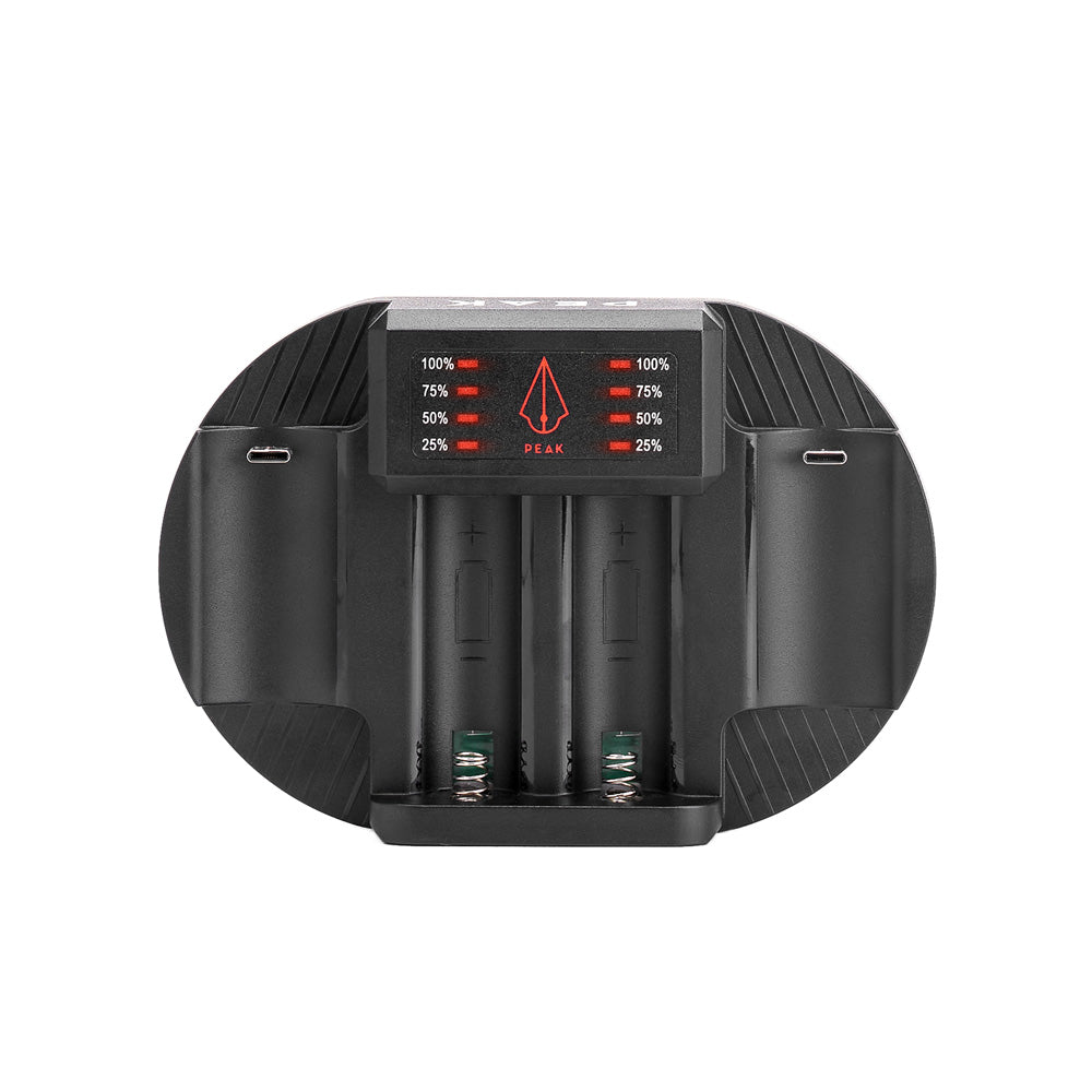 Charging Dock + Forge Reloadable Battery Packs Bundle