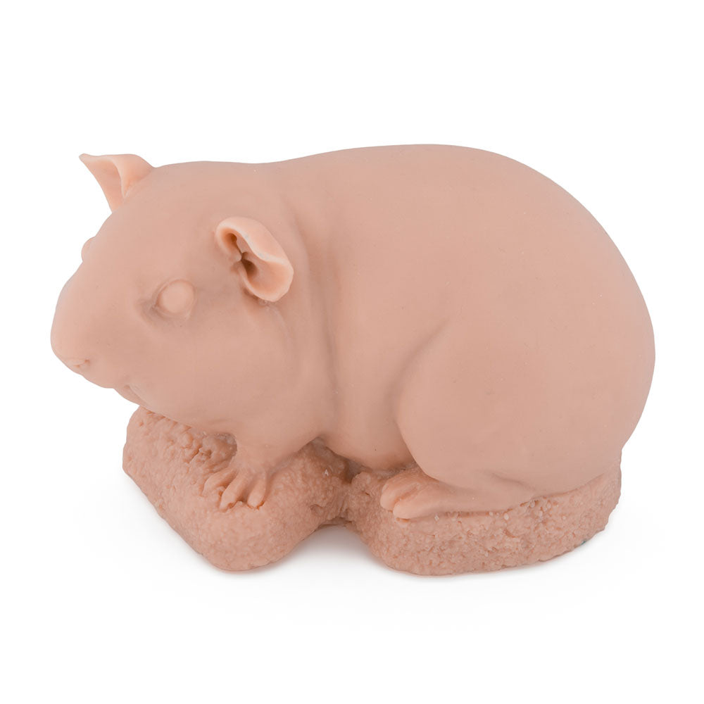 Guinea Pig