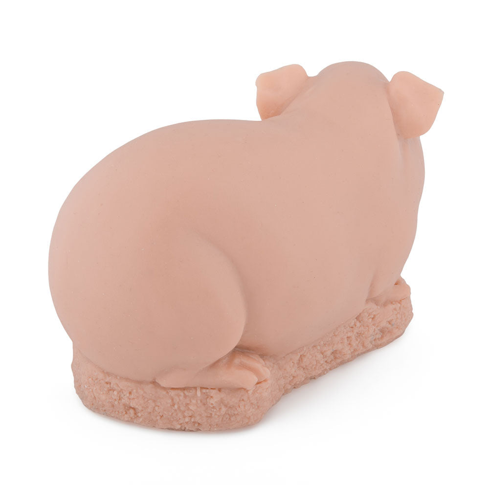 Guinea Pig