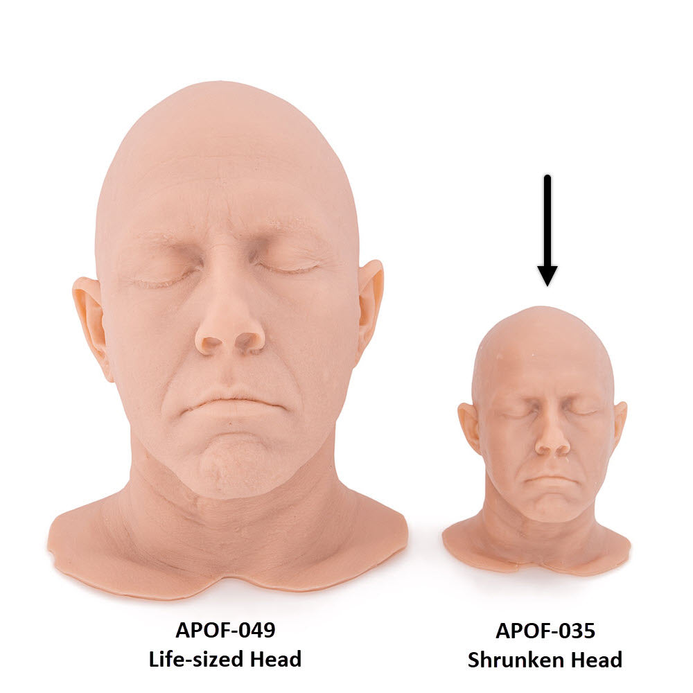 Idol Series: Jesse Smith Shrunken Head