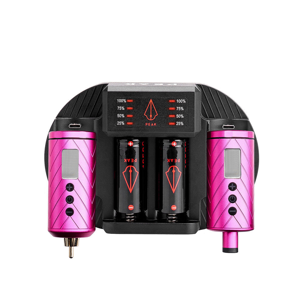 Charging Dock + Forge Reloadable Battery Packs Bundle