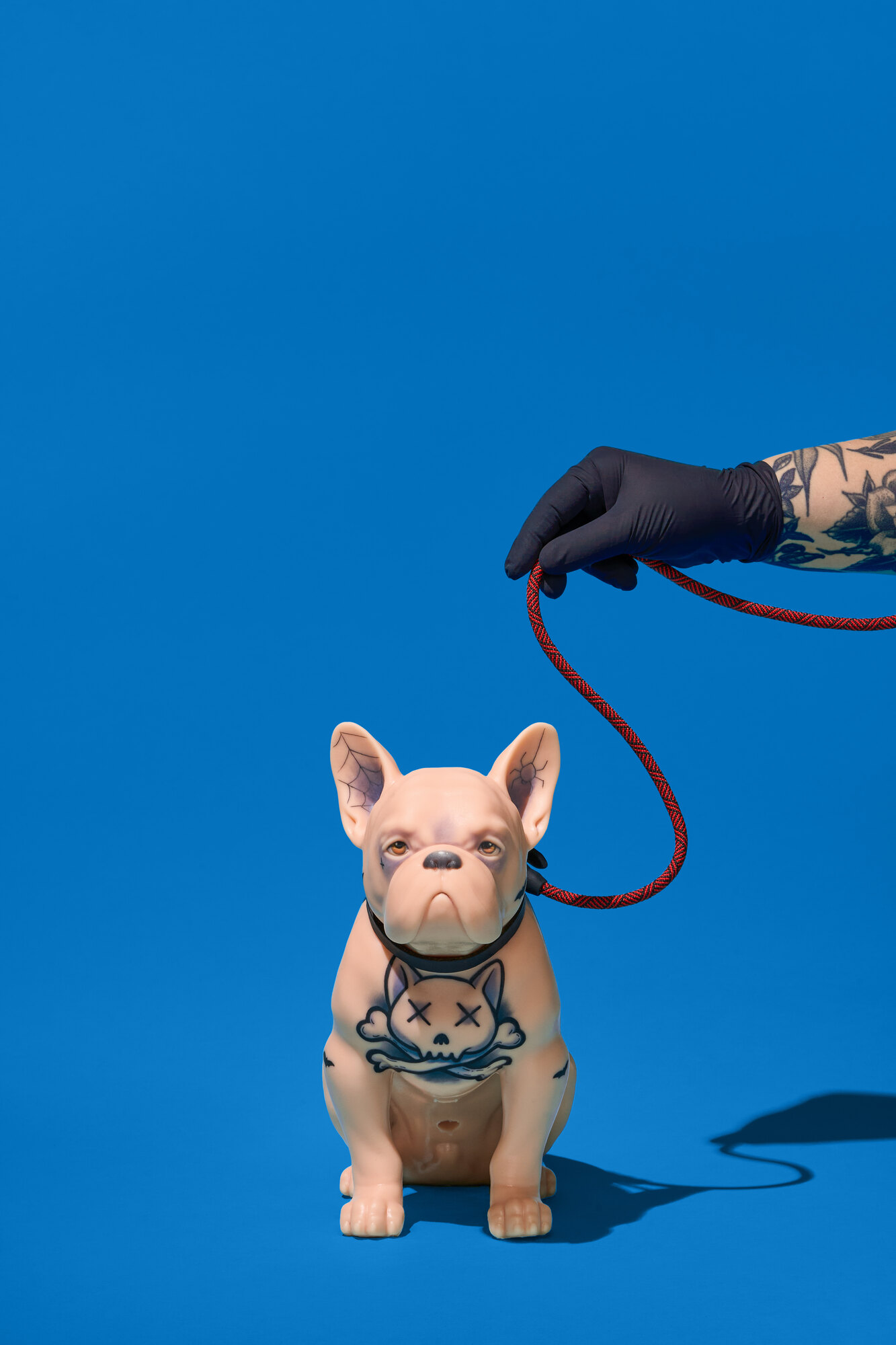 Frenchie
